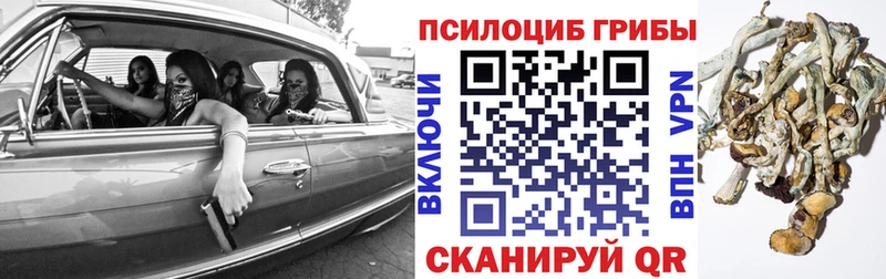 Псилоцибиновые грибы Cubensis  блэк спрут ССЫЛКА  Барнаул 
